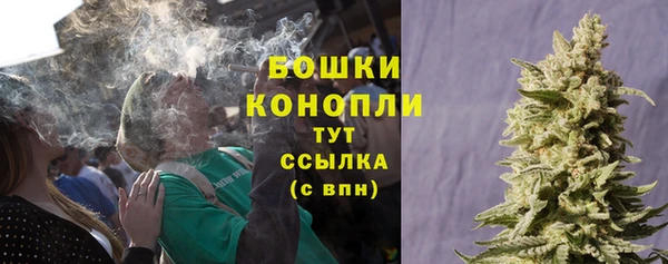 ALPHA PVP Коряжма